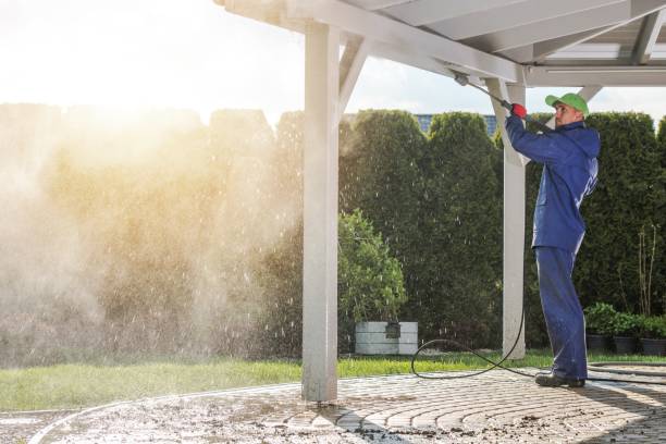 Best Dumpster Area Cleaning  in The Crossings, FL