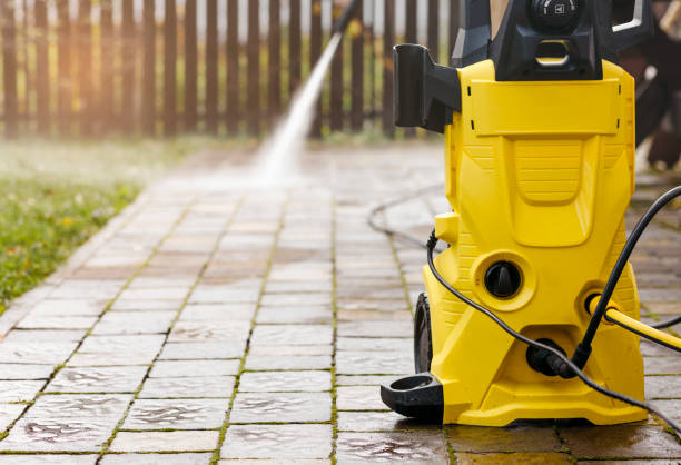 Best Solar Panel Cleaning  in The Crossings, FL